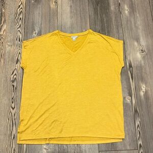 Orvis V-Neck Tunic Knit top